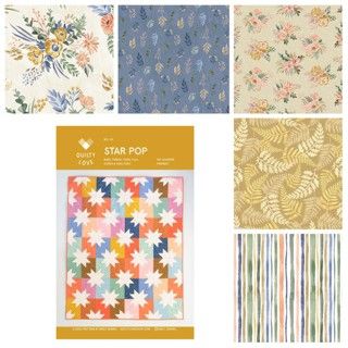 Star Pop Flower Shop Quilt Kit