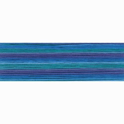 Cosmo Seasons Floss 8m  806 8056