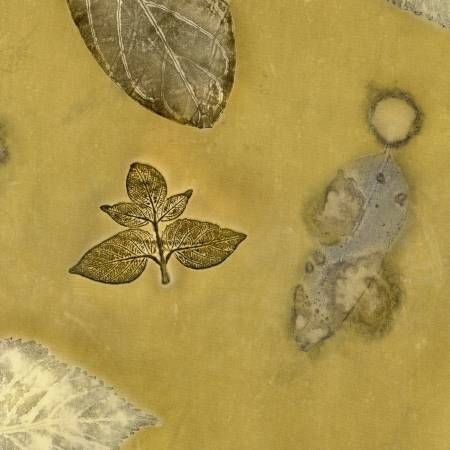 Riley Blake Batiks Express Yourself! Botanicals 54IN-BT23080-328 Dk Grn