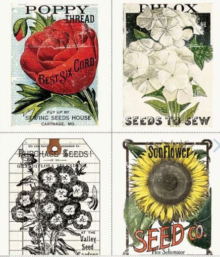 Riley Blake Sewing Seeds III C15683-White Panel