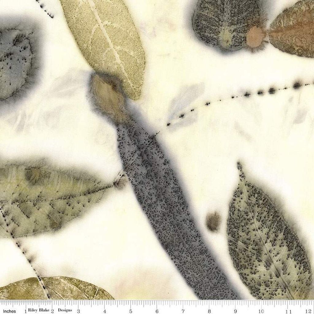 Riley Blake Express Yourself! Botanicals 54IN-BT23080-123 Phloof