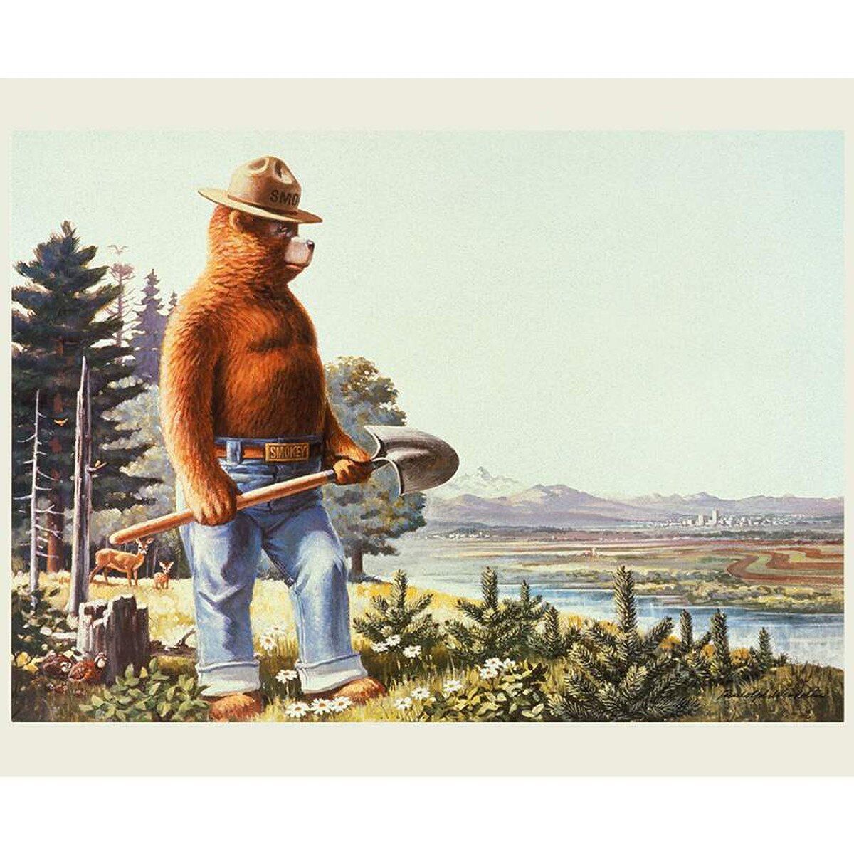 Riley Blake Friends of Smokey Bear PD16507-Panel
