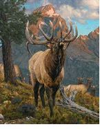 Riley Blake Majestic in Nature Grand Elk Panel PD15980