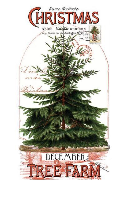 Riley Blake Classic Christmas Botanical Panel PD16280-Panel