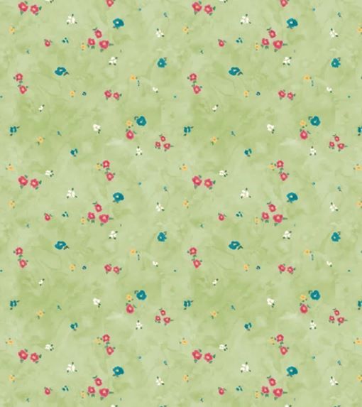 Riley Blake Dear Washington CD17733 Green