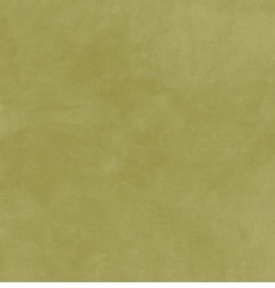 Maywood Studio Color Wash Woolies Flannel MASF9200 GS Light Green