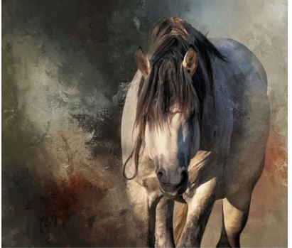 Focus On Fabric Abstract Background Stallion FOFAHS-010