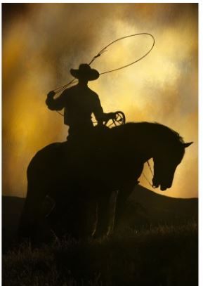 Focus On Fabric Cowboy Silhouette Panel FOFCBY-005