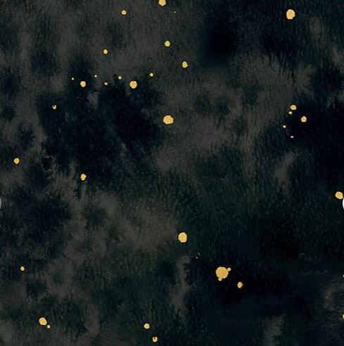 Windham Fabrics Flora &amp; Form 54784DM-3 Onyx