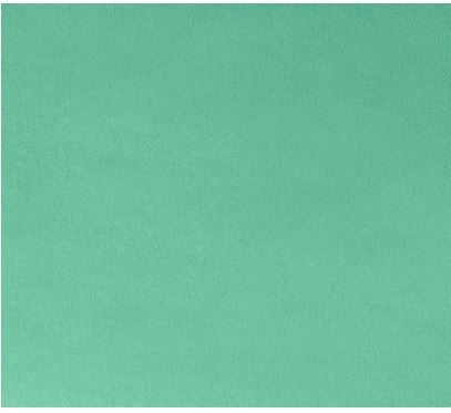 Shannon Fabrics Cuddle 3 Solid Extra Wide C390 Spearmint Online