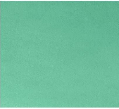 Shannon Fabrics Cuddle 3 Solid Extra Wide C390 Spearmint Online