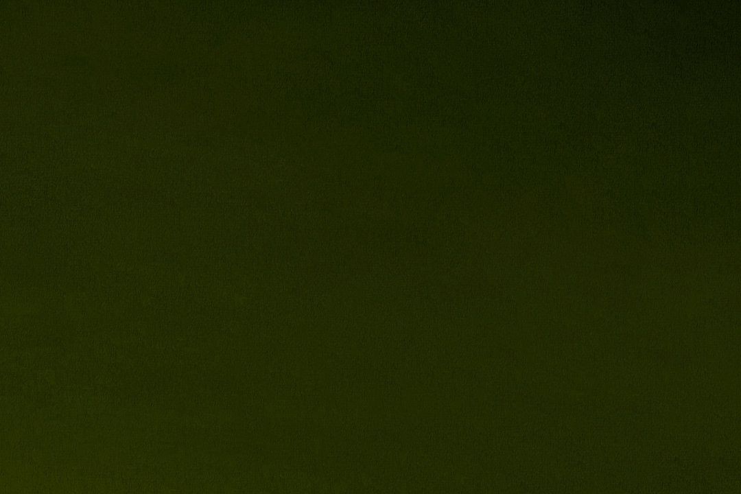 Shannon Cuddle 3 Solid 90" C390 Loden Online