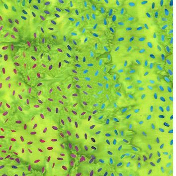 Anthology Fabrics Sesame 896Q-5  Cactus Pear Online