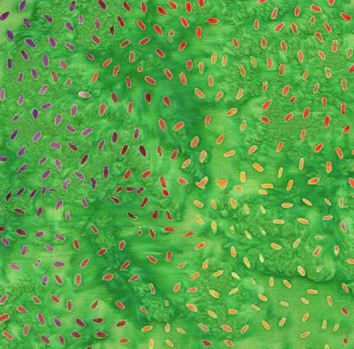 Anthology Fabrics Sesame 896Q-6 Meadow Online