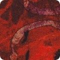 Robert Kaufman Wishwell: Industrial Imprints ANJD-22862-280 Wine Online