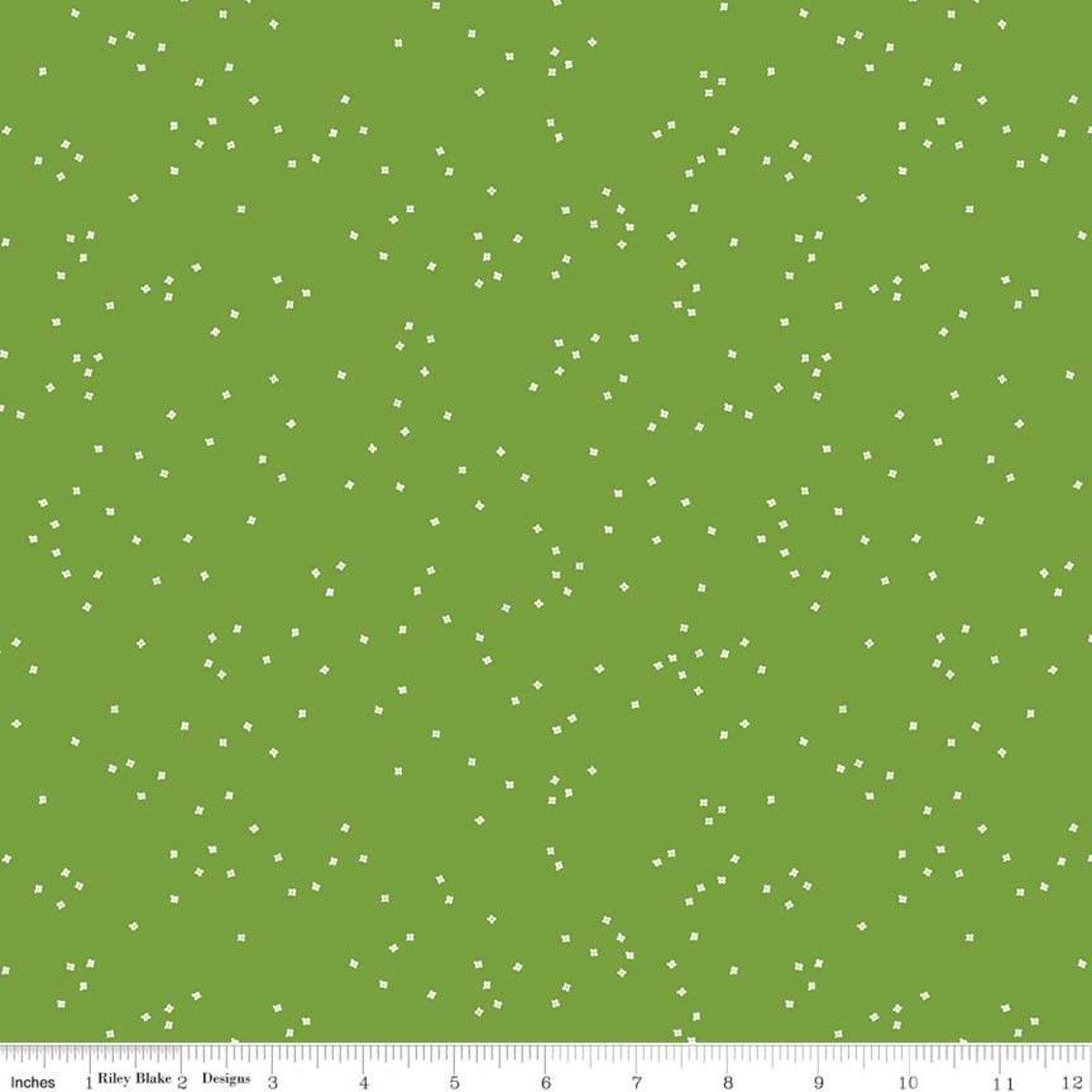 Riley Blake Blossoms in Color by C715-Holly Online