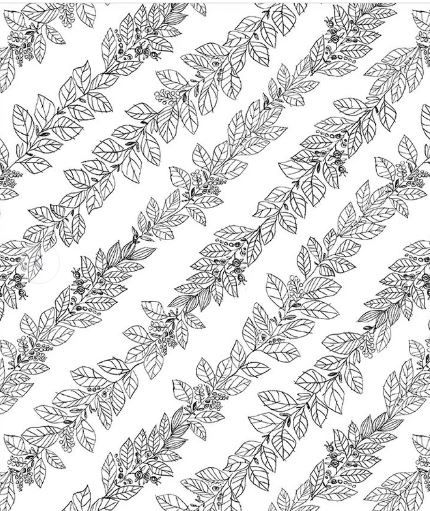 Windham Fabrics Pen &amp; Petal  54967-1 White Online