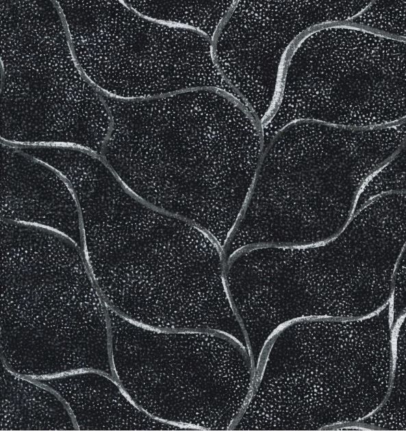 M&amp;S Textiles Australia Ladies Walking Along the Line LWLB Black Online