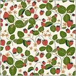 Windham Fabrics Under the Canopy 54297-7 Ivory Online