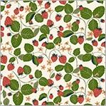 Windham Fabrics Under the Canopy 54297-7 Ivory Online