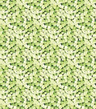 Riley Blake Sewing Seeds III C15694-Green Online