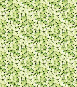 Riley Blake Sewing Seeds III C15694-Green Online