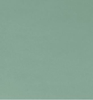 Shannon Fabrics Cuddle 3 Solid Extra Wide C390 Juniper Online