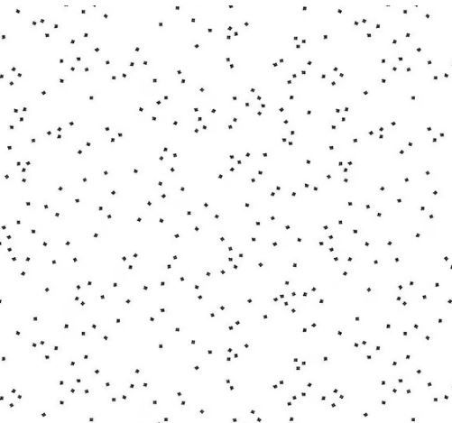 Riley Blake Blossoms on White C730 Black Online