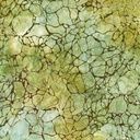 Robert Kaufman Artisan Batiks: Patterns in Nature  AMD-22681-218 Avocado Online