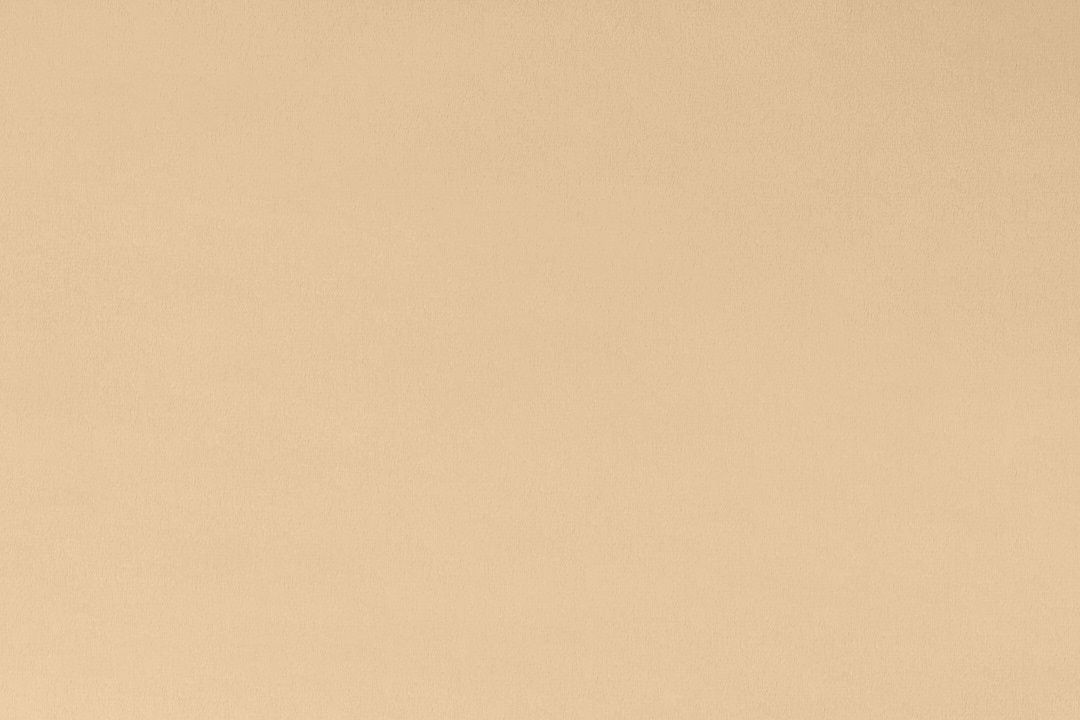 Shannon Cuddle 3 Solid 90" C390 Latte Online