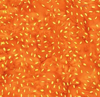 Anthology Fabrics Sesame 896Q-2 Orange Pop Online