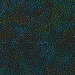 Hoffman 885 Dot Batiks 885 657 Spectrum Online