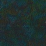 Hoffman 885 Dot Batiks 885 657 Spectrum Online