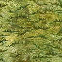 Robert Kaufman Artisan Batiks: Patterns in Nature AMD-22682-45 Moss Online