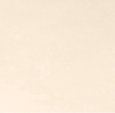 Shannon Fabrics Cuddle 3 Solid Extra Wide C390 Pearl Online