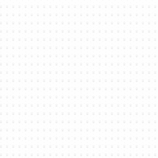 Andover Fabrics Century Whites II CS 930 WW Online