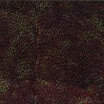 Hoffman 885 Dot Batiks 885 160 Spice Online