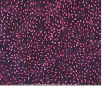 Anthology Fabrics Sesame 896Q-11 Dragonfruit Online