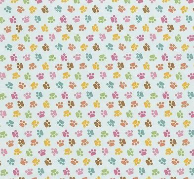 Riley Blake Designs Pretty Kitty C15654-Blue Online