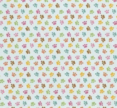 Riley Blake Designs Pretty Kitty C15654-Blue Online