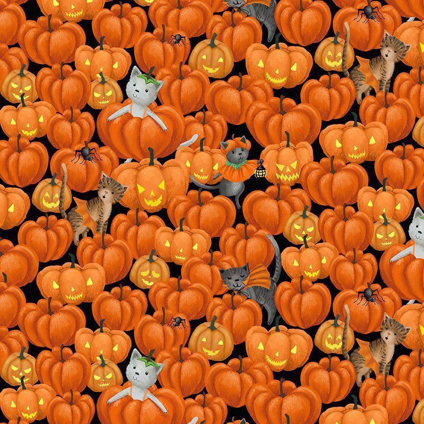 Dear Stella Purranormal Stella-D3123 Tangerine Online