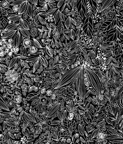 Windham Fabrics Pen &amp; Petal  54964-2 Black Online