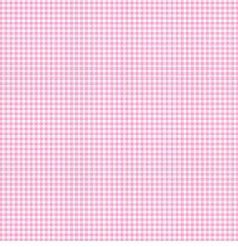 Clothworks Susybee Basics Gingham Check SB20268 520 Pink Online