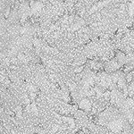 Hoffman 885 Dot Batiks 885 587 February Online