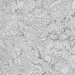 Hoffman 885 Dot Batiks 885 587 February Online