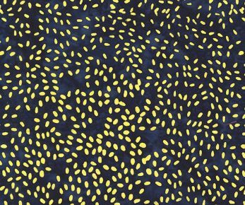 Anthology Fabrics Sesame 896Q-22 Orbit Online