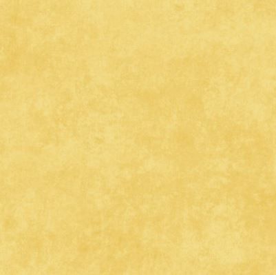 Maywood Studio Shadow Play Flannel MASF513 SEW Baby Chick Online