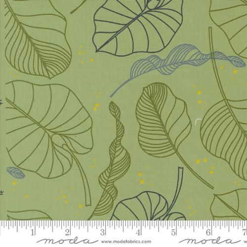 Moda Fabrics Olive You 1880 18 Sage Online