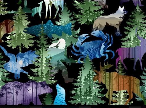 In The Beginning Fabrics  All PNW Shop Hop 2026  262OR 1 Multi Online