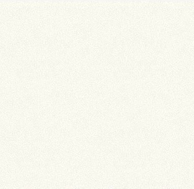 Windham Fabrics Nature Study 2.0  54688-30 Unbleached Online